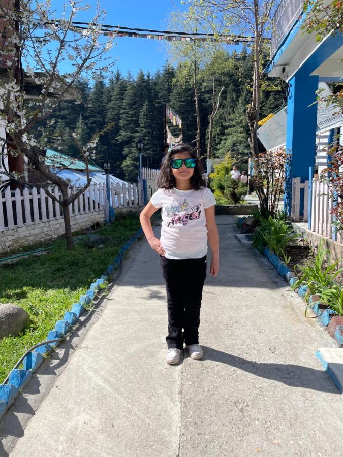 Ats -Manali Hostel Buitenkant foto